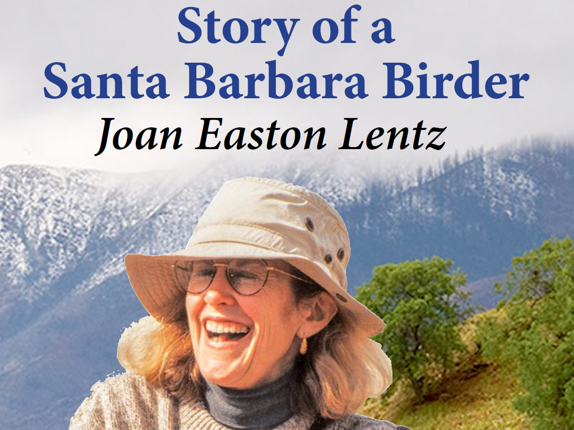 cropped image of Story of a Santa Barbara Birder